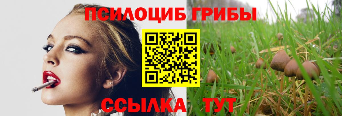 Псилоцибиновые грибы Psilocybine cubensis  Вход с VPN  Псилоцибиновые грибы мицелий  наркотики  Борисоглебск 